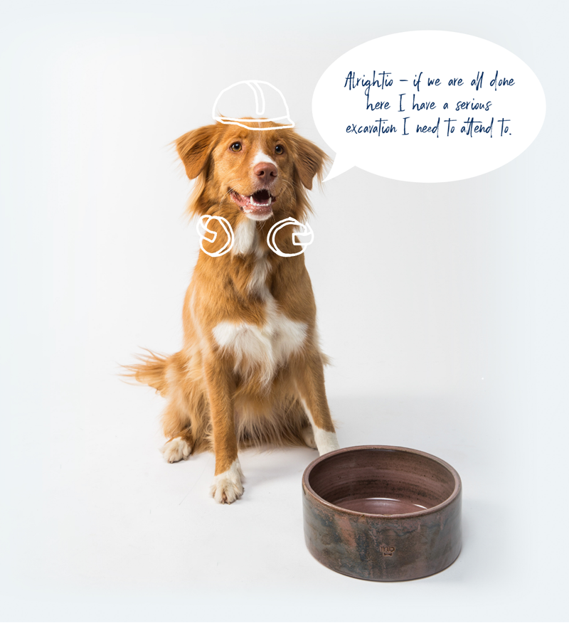 Six weeks to a dog you can actually live with