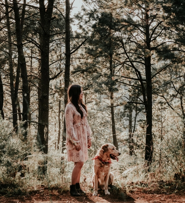 Woman standing beside a seated dog on lead in a wooded setting