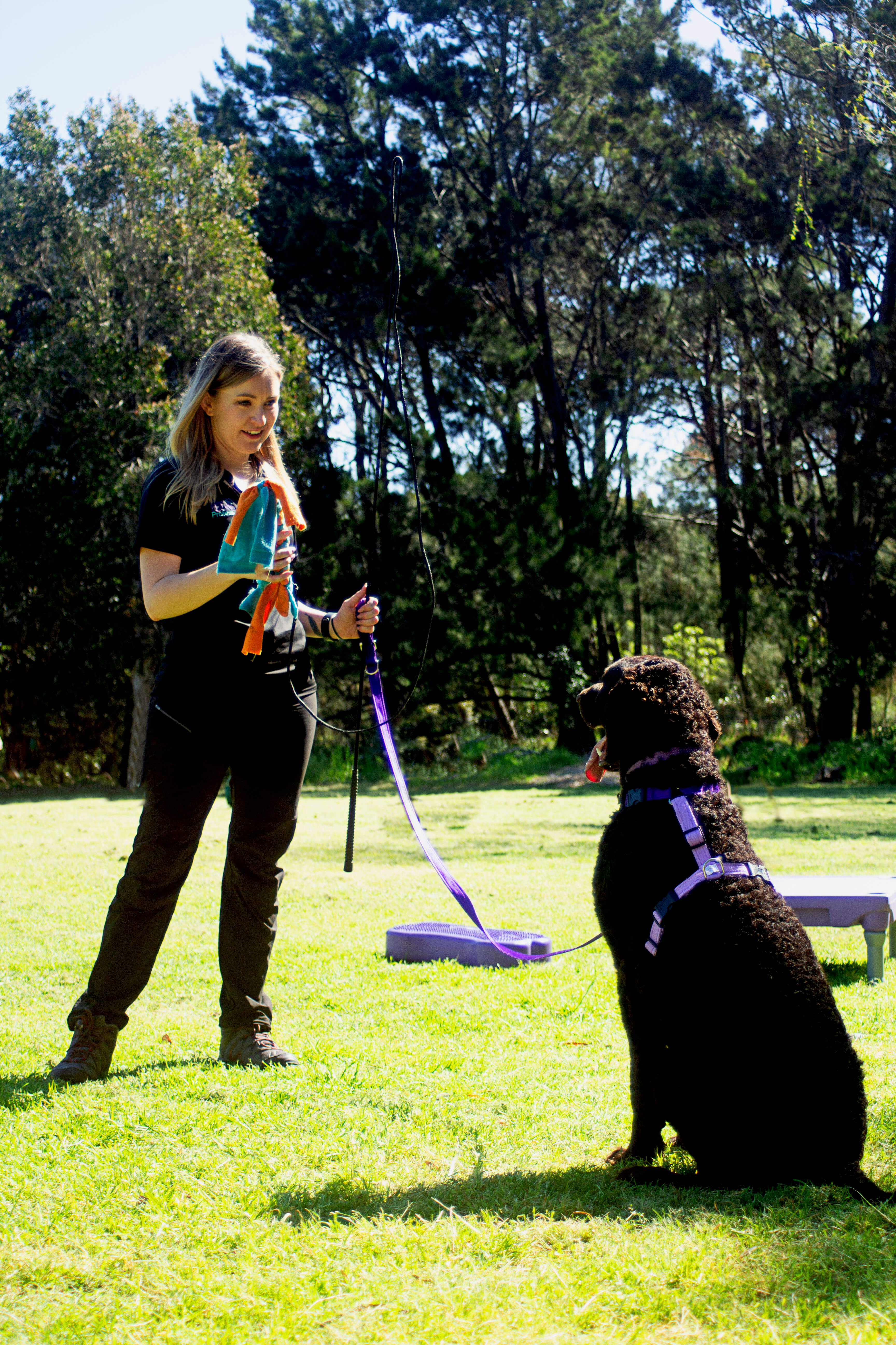 Marianne running a behaviour-aware training walk