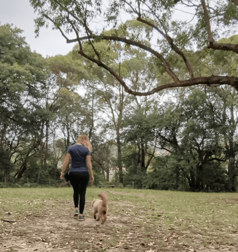 Walk and Train training session with Pet Professor