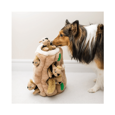 Ginormous hide a shop squirrel dog toy