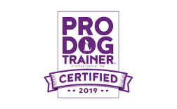 Pro Dog Trainer