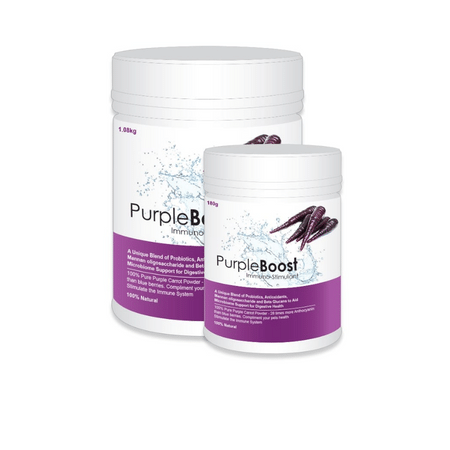 LifeWise Purple Boost Immuno-Stimulant