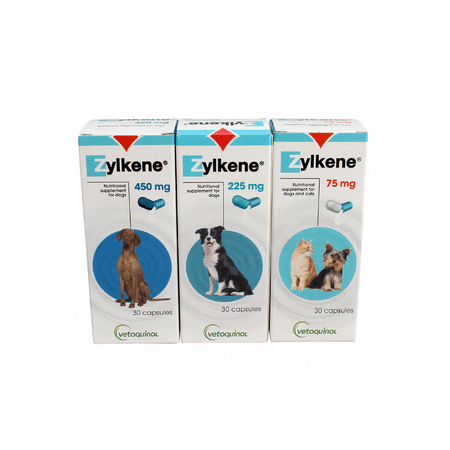 Zylkene - Calming supplements for Dogs and Cats