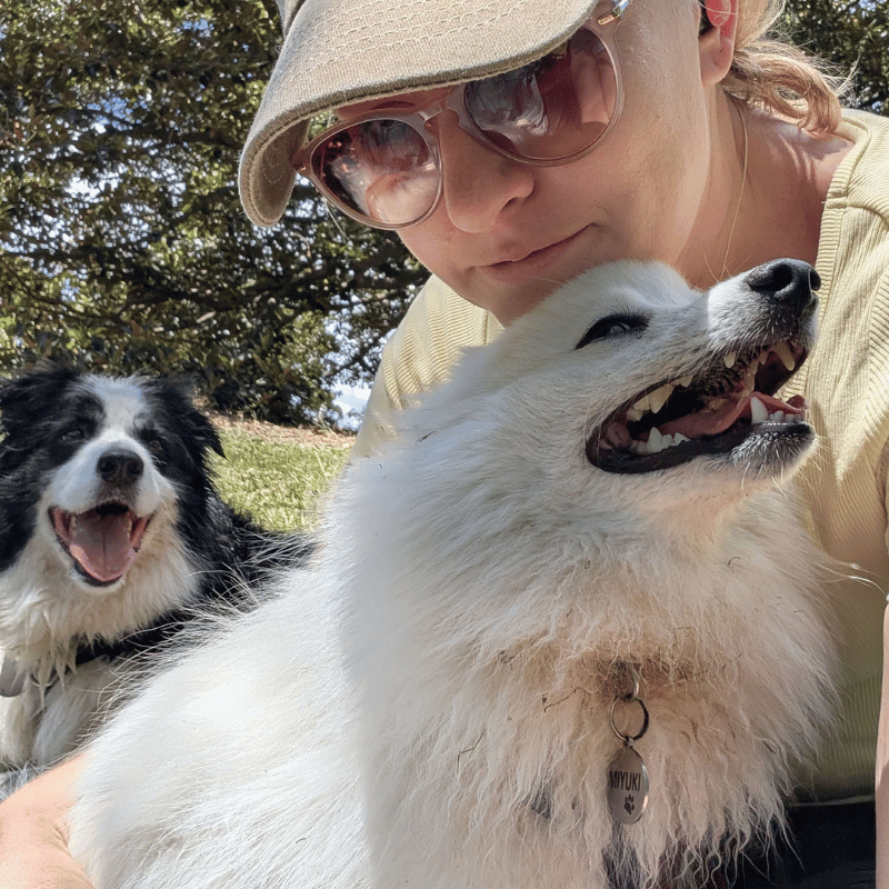 We pride ourselves on being your dog's <span class="text-p-yellow-d">second-best</span> friend.